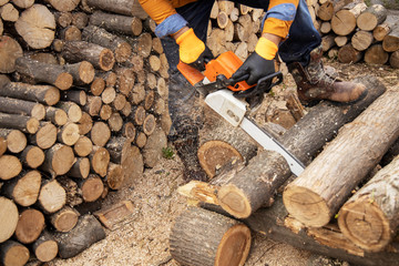 Wall Mural - Chainsaw in action cutting wood. Man cutting wood with saw, dust and movements. Chainsaw. Close-up of woodcutter sawing chain saw in motion, sawdust fly to sides.