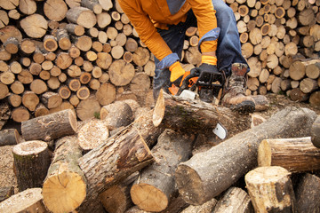 Wall Mural - Chainsaw in action cutting wood. Man cutting wood with saw, dust and movements. Chainsaw. Close-up of woodcutter sawing chain saw in motion, sawdust fly to sides.