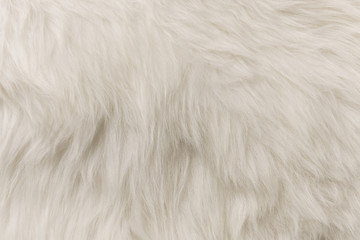 Wall Mural - White artificial fur texture for background close-up