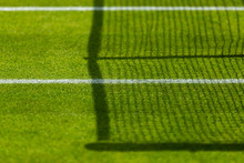 Tennis Lawn Court, Net Grass And Baseline 