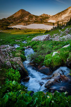 Meandering Alpine Stream In The Snowy Range Mountains Of Wyoming