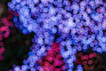 Wall Mural - Illuminated abstract round red, purple, blue and magenta bokeh on dark background. Colourful glitter bokeh from out of focus view of decoration bulbs.