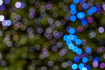 Wall Mural - Illuminated Abstract round pink, purple, magenta and blue bokeh on green dark blur background. Colourful glitter bokeh from out of focus view of decoration bulbs.