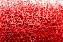 Red Flower Strange Tropical Blossom Fruit Macro Background Fifty Megapixels Prints