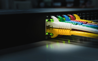 Network panel, switch and cable in data center