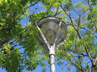 old street lamp in park