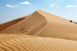 Cerro Blanco sand dune near Nasca or Nazca town in Peru
