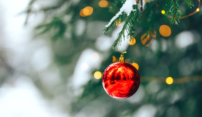 Red christmas ball hanging on branch on sruce tree outdoor, snow, winter, with decorations.
