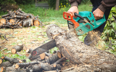 Poster - Man cutting wood with a chainsaw.