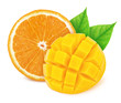 Composition with mix of cutted tropical fruits - mango and orange isolated on a white background with clipping path.