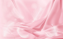 Background Drapery Delicate Pink Silk And Feathers 