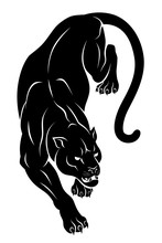 Crouching Panther