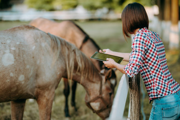 Serious young female worker of animal farm in uniform using tablet