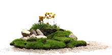 Green Moss With Decorative Rocks And Grass Isolated On White Background