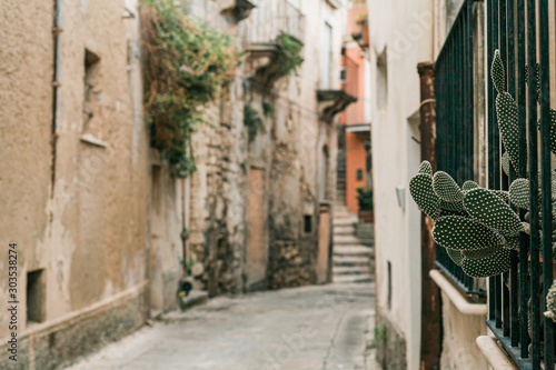 Fotomural selective focus of green cactus near narrow street in ragusa, italy