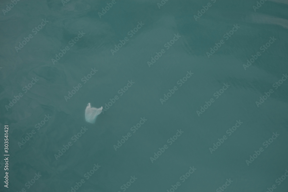 Plastic bag floating in the ocean, Plastic pollution in ocean, Plastic ...