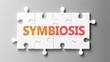 Symbiosis complex like a puzzle - pictured as word Symbiosis on a puzzle pieces to show that Symbiosis can be difficult and needs cooperating pieces that fit together, 3d illustration