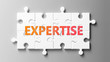 Expertise complex like a puzzle - pictured as word Expertise on a puzzle pieces to show that Expertise can be difficult and needs cooperating pieces that fit together, 3d illustration