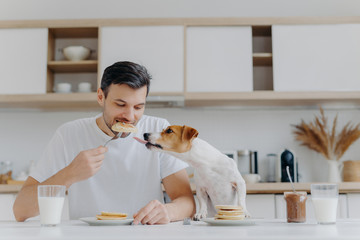 Hungry man eats sweet pancakes, uses fork, drinks fresh milk, dog sticks out tongue, asks to eat, sit at white table in modern kitchen. Enjoying meal or dessert. Tasty snack. Mmm, how delicious