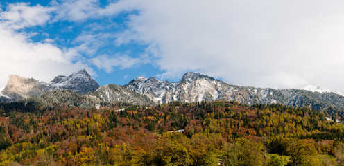 Poster - panorama of mountain landscape with fall color forest and snow covered mountain peaks