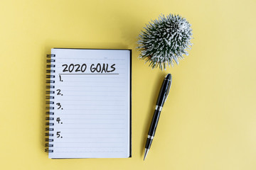 Wall Mural - 2020 goals text on note pad with pen and Christmas tree