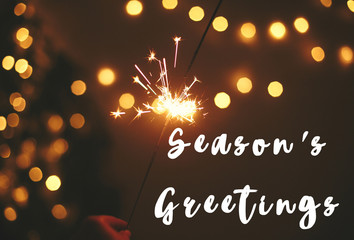 Poster - Season's greetings  text sign on glowing sparkler in hand on background of golden christmas tree lights in dark festive room. Fireworks burning. Seasons greeting card