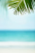 Beautiful tropical blurred beach background with palm tree, Summer.