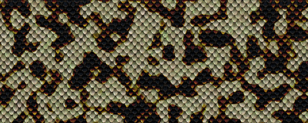 Phyton snake skin texture background