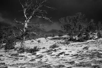 Vintage Shirley Mountains