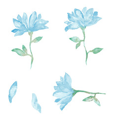  Zestaw dużych akwarela niebieskie kwiaty malarstwo - ręcznie rysowane kwiat na białym tle