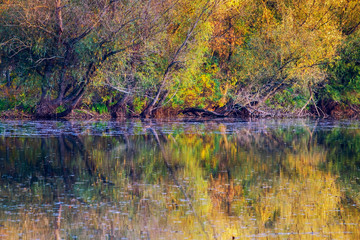 Wall Mural - Autumn peaceful lake landscape