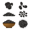 Black beans illustration set. Vector.