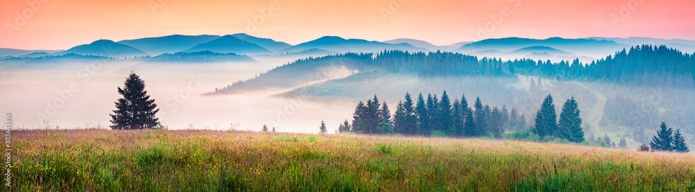 Foggy morning panorama of mountains valley. Picturesque summer sunrise in Carpathian mountains, Rika village location, Transcarpathian, Ukraine, Europe. Beauty of nature concept background. - obrazy, fototapety, plakaty 