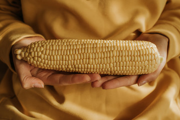 A woman in a yellow hoodie holds corn in her hands. Maize closeup. Natural fresh organic vegetable. Healthy eating, raw food diet. Summer agriculture, grain. Beautiful yellow texture. Poster, banner