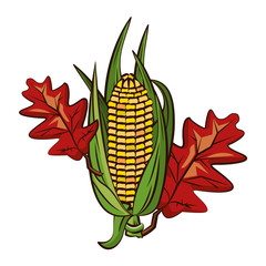 Poster - corn cob vegetable and leafs thanksgiving icon