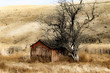 Red Cabin beside a Gnarly Leafless Tree in the Sagebrush