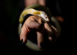 closeup of a snake on a model's arm