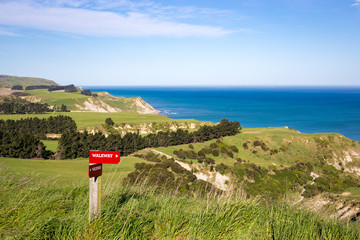 The hiking track along the Tirimoana Bush Walk takes you to the beach then up the hills opposite for a great view back along the coast