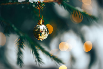 Wall Mural - Golden christmas ball hanging on branch on sruce tree outdoor, snow, winter, with decorations.