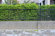 concrete block wall and pavement sidewalk street floor, black iron fence with green leaf of shrub tree growing in natural garden