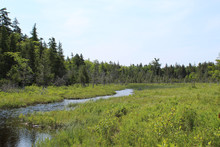 Creek Adjacent To Jordan Pond At Acadia National Park In Maine