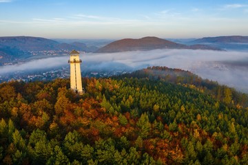 Wall Mural - white lighthouse in the middle of a tree forest near high grassy hills covered with fog