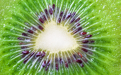 kiwi fruit, close up