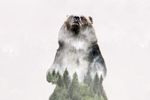 Minimal Style Double Exposure With A Bear And Misty Mountains
