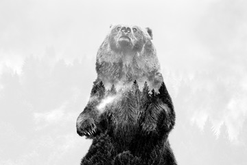 Minimal style double exposure with a bear and misty mountains