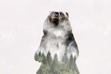 Minimal style double exposure with a bear and misty mountains