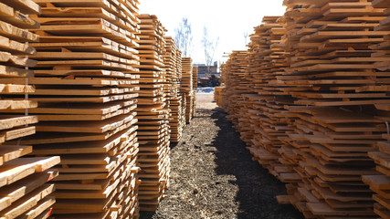 Wall Mural - Wood timber in the sawmill. Piles of wooden boards in the sawmill. 