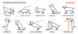 © Double Brain - Dog Behavior Problems Icons Set