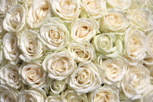 Natural Floral Background With Bouquet Of White Roses