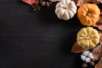Wall Mural - top view of autumn maple leaves with pumpkin and red berries on black wooden background. thanksgivin